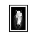 Picture of Friend in Deed _GroupedProduct_Rectangle_Portrait_Photography _GroupedProduct_Rectangle_Portrait_Framed_Matted_