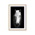 Picture of Friend in Deed _GroupedProduct_Rectangle_Portrait_Photography _GroupedProduct_Rectangle_Portrait_Framed_Matted_