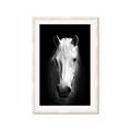 Picture of Friend in Deed _GroupedProduct_Rectangle_Portrait_Photography _GroupedProduct_Rectangle_Portrait_Framed_Matted_