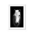 Picture of Friend in Deed _GroupedProduct_Rectangle_Portrait_Photography _GroupedProduct_Rectangle_Portrait_Framed_Matted_