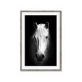Picture of Friend in Deed _GroupedProduct_Rectangle_Portrait_Photography _GroupedProduct_Rectangle_Portrait_Framed_Matted_