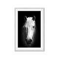 Picture of Friend in Deed _GroupedProduct_Rectangle_Portrait_Photography _GroupedProduct_Rectangle_Portrait_Framed_Matted_