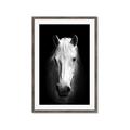 Picture of Friend in Deed _GroupedProduct_Rectangle_Portrait_Photography _GroupedProduct_Rectangle_Portrait_Framed_Matted_