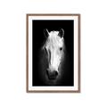 Picture of Friend in Deed _GroupedProduct_Rectangle_Portrait_Photography _GroupedProduct_Rectangle_Portrait_Framed_Matted_