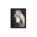 Picture of Stallion _GroupedProduct_Rectangle_Portrait_Photography _GroupedProduct_Rectangle_Portrait_Framed_Matted_