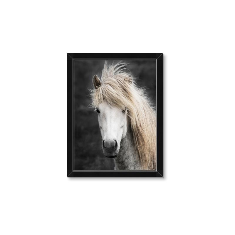 Picture of Stallion _GroupedProduct_Rectangle_Portrait_Photography _GroupedProduct_Rectangle_Portrait_Framed_Matted_
