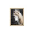 Picture of Stallion _GroupedProduct_Rectangle_Portrait_Photography _GroupedProduct_Rectangle_Portrait_Framed_Matted_