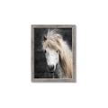 Picture of Stallion _GroupedProduct_Rectangle_Portrait_Photography _GroupedProduct_Rectangle_Portrait_Framed_Matted_