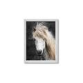 Picture of Stallion _GroupedProduct_Rectangle_Portrait_Photography _GroupedProduct_Rectangle_Portrait_Framed_Matted_
