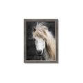 Picture of Stallion _GroupedProduct_Rectangle_Portrait_Photography _GroupedProduct_Rectangle_Portrait_Framed_Matted_
