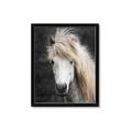 Picture of Stallion _GroupedProduct_Rectangle_Portrait_Photography _GroupedProduct_Rectangle_Portrait_Framed_Matted_
