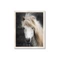 Picture of Stallion _GroupedProduct_Rectangle_Portrait_Photography _GroupedProduct_Rectangle_Portrait_Framed_Matted_