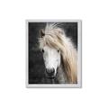 Picture of Stallion _GroupedProduct_Rectangle_Portrait_Photography _GroupedProduct_Rectangle_Portrait_Framed_Matted_