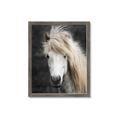 Picture of Stallion _GroupedProduct_Rectangle_Portrait_Photography _GroupedProduct_Rectangle_Portrait_Framed_Matted_