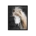 Picture of Stallion _GroupedProduct_Rectangle_Portrait_Photography _GroupedProduct_Rectangle_Portrait_Framed_Matted_