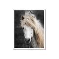 Picture of Stallion _GroupedProduct_Rectangle_Portrait_Photography _GroupedProduct_Rectangle_Portrait_Framed_Matted_