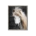Picture of Stallion _GroupedProduct_Rectangle_Portrait_Photography _GroupedProduct_Rectangle_Portrait_Framed_Matted_