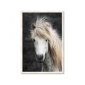 Picture of Stallion _GroupedProduct_Rectangle_Portrait_Photography _GroupedProduct_Rectangle_Portrait_Framed_Matted_