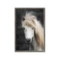 Picture of Stallion _GroupedProduct_Rectangle_Portrait_Photography _GroupedProduct_Rectangle_Portrait_Framed_Matted_