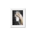 Picture of Stallion _GroupedProduct_Rectangle_Portrait_Photography _GroupedProduct_Rectangle_Portrait_Framed_Matted_