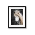 Picture of Stallion _GroupedProduct_Rectangle_Portrait_Photography _GroupedProduct_Rectangle_Portrait_Framed_Matted_