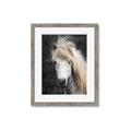 Picture of Stallion _GroupedProduct_Rectangle_Portrait_Photography _GroupedProduct_Rectangle_Portrait_Framed_Matted_