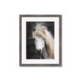 Picture of Stallion _GroupedProduct_Rectangle_Portrait_Photography _GroupedProduct_Rectangle_Portrait_Framed_Matted_
