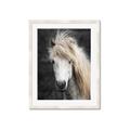 Picture of Stallion _GroupedProduct_Rectangle_Portrait_Photography _GroupedProduct_Rectangle_Portrait_Framed_Matted_