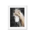 Picture of Stallion _GroupedProduct_Rectangle_Portrait_Photography _GroupedProduct_Rectangle_Portrait_Framed_Matted_