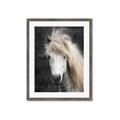 Picture of Stallion _GroupedProduct_Rectangle_Portrait_Photography _GroupedProduct_Rectangle_Portrait_Framed_Matted_
