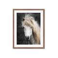 Picture of Stallion _GroupedProduct_Rectangle_Portrait_Photography _GroupedProduct_Rectangle_Portrait_Framed_Matted_