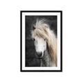 Picture of Stallion _GroupedProduct_Rectangle_Portrait_Photography _GroupedProduct_Rectangle_Portrait_Framed_Matted_