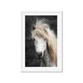 Picture of Stallion _GroupedProduct_Rectangle_Portrait_Photography _GroupedProduct_Rectangle_Portrait_Framed_Matted_