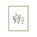 Picture of  Leaves l  _GroupedProduct_Rectangle_Portrait_Framed_Matted_
