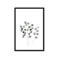 Picture of  Leaves l  _GroupedProduct_Rectangle_Portrait_Framed_Matted_