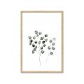 Picture of  Leaves l  _GroupedProduct_Rectangle_Portrait_Framed_Matted_
