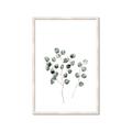 Picture of  Leaves l  _GroupedProduct_Rectangle_Portrait_Framed_Matted_