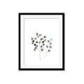 Picture of  Leaves l  _GroupedProduct_Rectangle_Portrait_Framed_Matted_