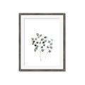 Picture of  Leaves l  _GroupedProduct_Rectangle_Portrait_Framed_Matted_