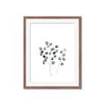 Picture of  Leaves l  _GroupedProduct_Rectangle_Portrait_Framed_Matted_