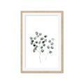 Picture of  Leaves l  _GroupedProduct_Rectangle_Portrait_Framed_Matted_