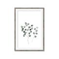 Picture of  Leaves l  _GroupedProduct_Rectangle_Portrait_Framed_Matted_