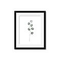 Picture of Leaves II _GroupedProduct_Rectangle_Portrait_Framed_Matted_