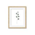 Picture of Leaves II _GroupedProduct_Rectangle_Portrait_Framed_Matted_