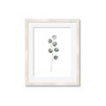 Picture of Leaves II _GroupedProduct_Rectangle_Portrait_Framed_Matted_