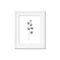 Picture of Leaves II _GroupedProduct_Rectangle_Portrait_Framed_Matted_