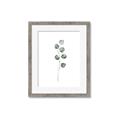 Picture of Leaves II _GroupedProduct_Rectangle_Portrait_Framed_Matted_