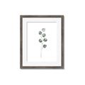 Picture of Leaves II _GroupedProduct_Rectangle_Portrait_Framed_Matted_