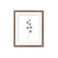 Picture of Leaves II _GroupedProduct_Rectangle_Portrait_Framed_Matted_