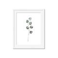 Picture of Leaves II _GroupedProduct_Rectangle_Portrait_Framed_Matted_